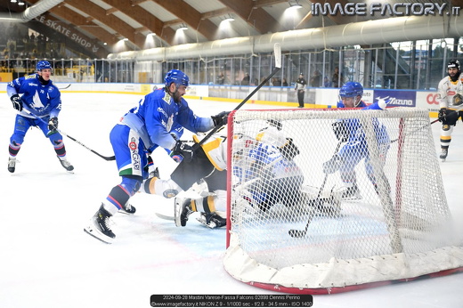 2024-09-28 Mastini Varese-Fassa Falcons 02898 Dennis Perino